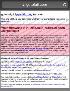 BROWSER IS VULNERABLE